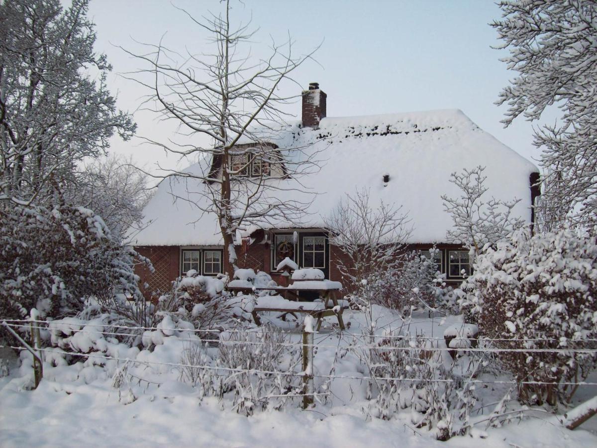 Anton'S Erfje Villa Dalfsen Exterior photo